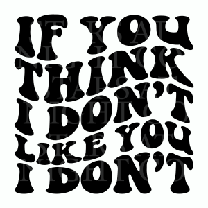 If You Think I Dont Like You