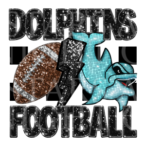 Dolphins Football