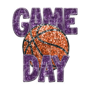 Game Day Basketball Purple