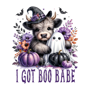 I Got Boo Babe