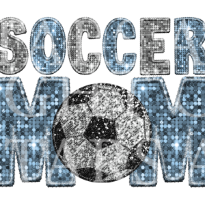 Soccer Mom Light Blue And Silver