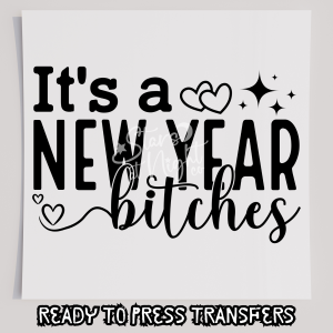Its A New Year Bitches 2