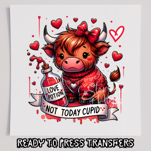 Not Today Cupid Highland Cow