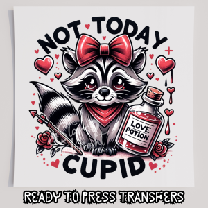 Not Today Cupid Raccoon